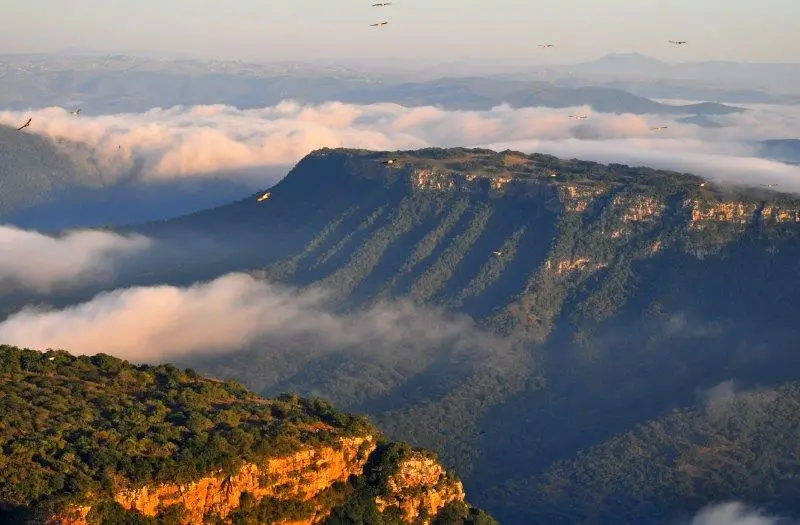 South Coast Offers Great Drives Out